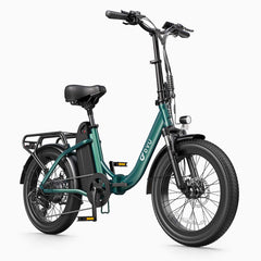 DYU C9 Folding Electric Bike