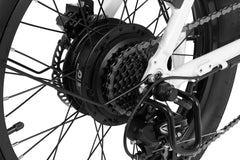 DYU C9 Folding Electric Bike - Pogo Cycles