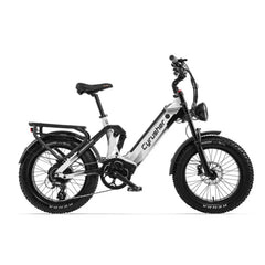 DUOTTS S26 Pro Electric Bike