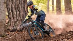 VARUN M27-1 Electric Bike