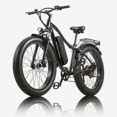 BURCHDA RX02 All-Terrain Electric Bike