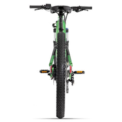 Cyrusher Flex Electric Bike