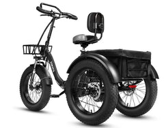 Eskute T302 Pro Cargo Electric Trike