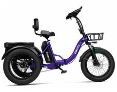 Eskute T302 Pro Cargo Electric Trike