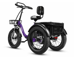Eskute T302 Pro Cargo Electric Trike