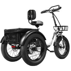 Eskute T302 Pro Cargo Electric Trike