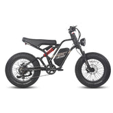 Fafrees F20 Ultra Electric Bike - Pogo Cycles, Ireland in white background