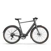 Fiido E-Gravel C21 Electric Bike