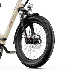 OneSport OT30 Pro Electric Cargo Tricycle