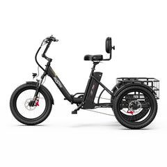 OneSport OT30 Pro Electric Cargo Tricycle
