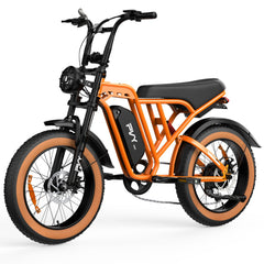 PVY A20 Electric Bike