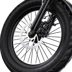 APEFOX RH30 Cargo Tricycle Bike