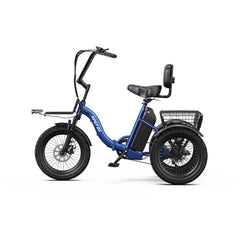 APEFOX RH30 Cargo Tricycle Bike