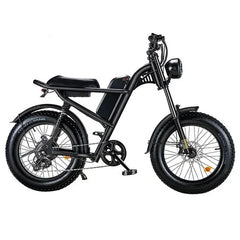 Riding Times Z8 Electric Bike - US - Pogo Cycles