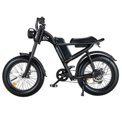 Riding Times Z8 Electric Bike