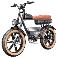 Ridstar CR20 Electric Bike