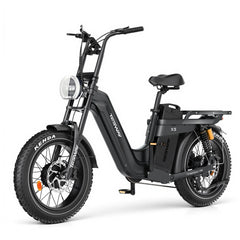 TESWAY X5 AWD Step-Thru Dual Motor Electric Bike