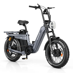 TESWAY X5 AWD Step-Thru Dual Motor Electric Bike