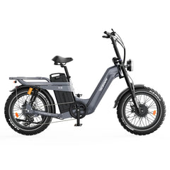 TESWAY X5 AWD Step-Thru Dual Motor Electric Bike