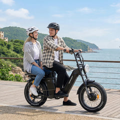 TESWAY X5 AWD Step-Thru Dual Motor Electric Bike