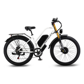 KETELES XF4000 Dual Motor Electric Bike