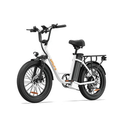 URLIFE E20 Step-Thru Electric Bike