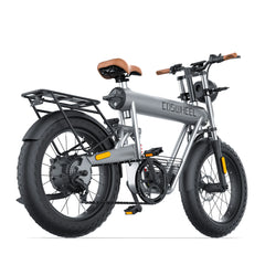 Coswheel T20R Cargo Fat Tire Elektrofahrrad