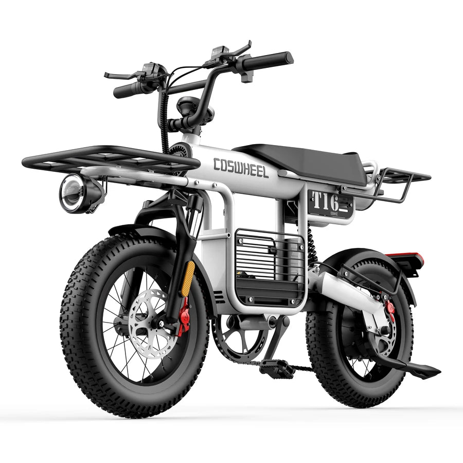 Coswheel T16 Electric Bike