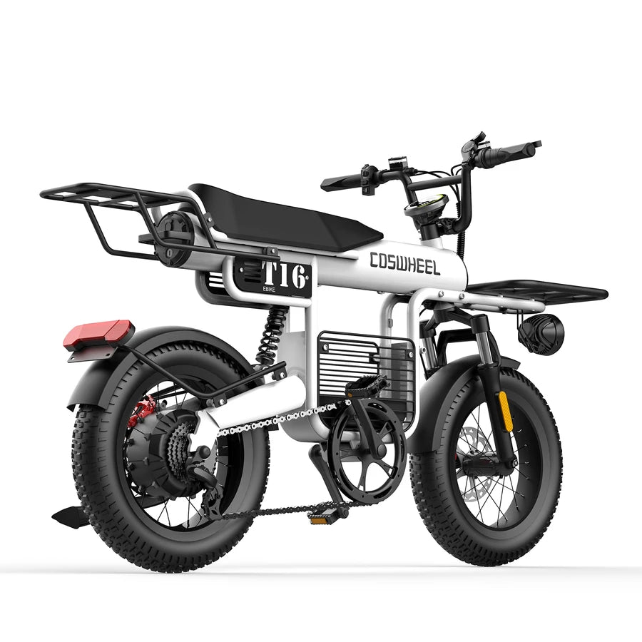 Coswheel T16 Electric Bike