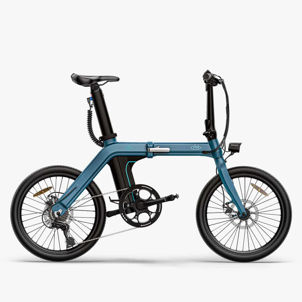 FIIDO D11 Mountain Electric Bike