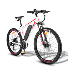 Fafrees F28 MT Mountain Electric Bike