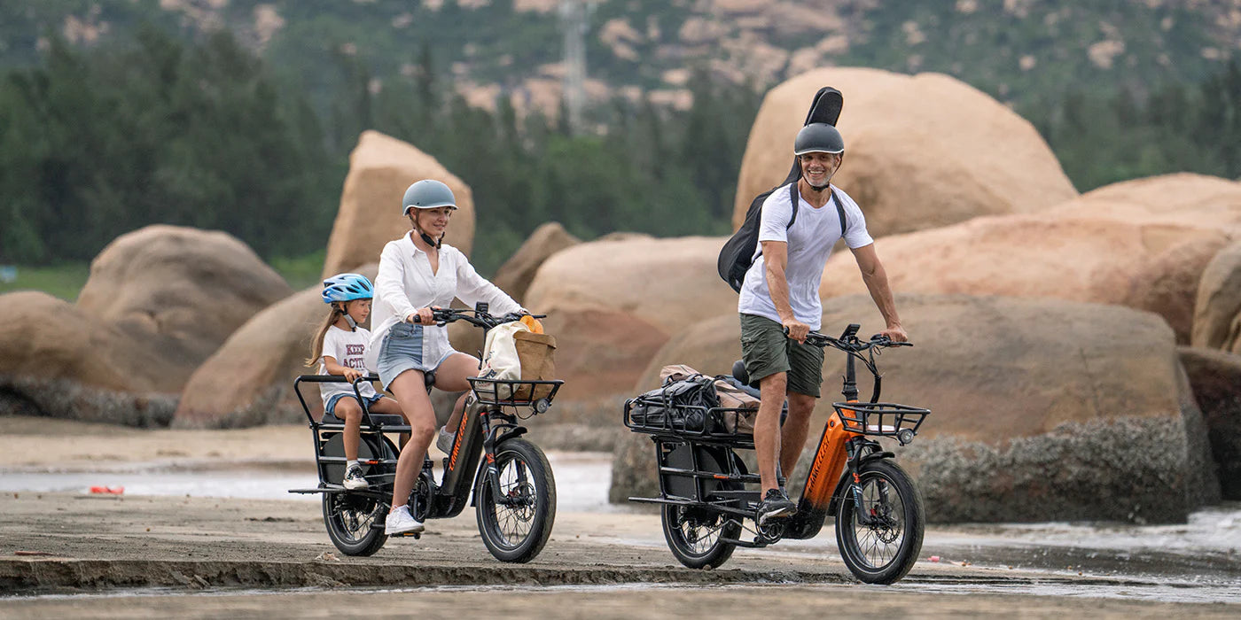 LANKELEISI Wombat-1 Cargo Electric Bike - Pogo Cycles