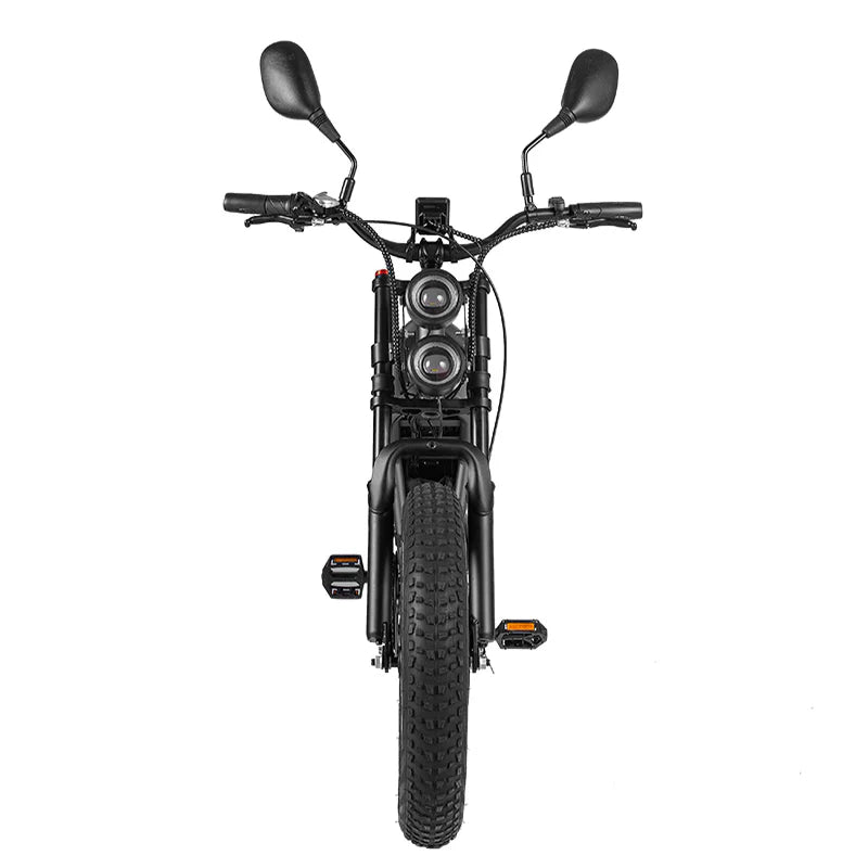 RANDRIDE DM711 Dual Motor Electric Bike