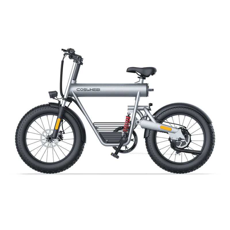 Coswheel T20 All Terrain Cargo Electric Bike - Pogo Cycles