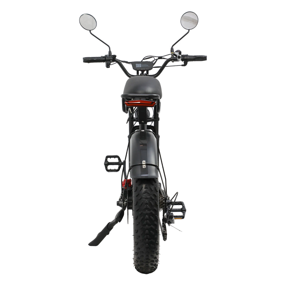 DUOTTS F20 Upgraded Electric Bike