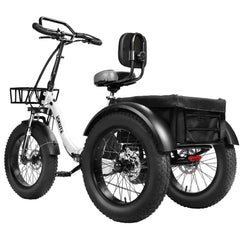 Eskute T302 Pro Cargo Electric Trike