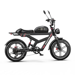 DUOTTS F20 Upgraded Electric Bike