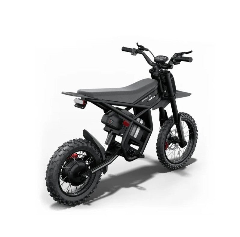 Riding Times GT54 Pro Electric Bike in black on a white background - Right side view 