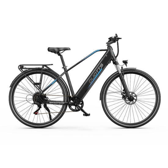 DUOTTS C29 Lite Electric Bike