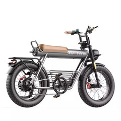 Coswheel CT20 Cargo Electric Bike - Pogo Cycles