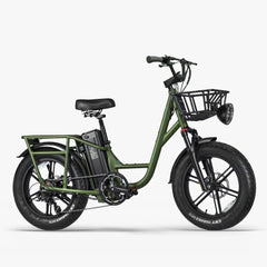 FIIDO T1 pro v2 upgraded Cargo Electric Bike - Pogo Cycles