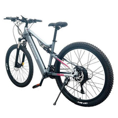 RANDRIDE YG90A Electric Bike - UK - Pogo Cycles