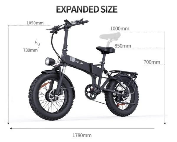 Ridstar H20 PRO Electric Bike - Pogo Cycles